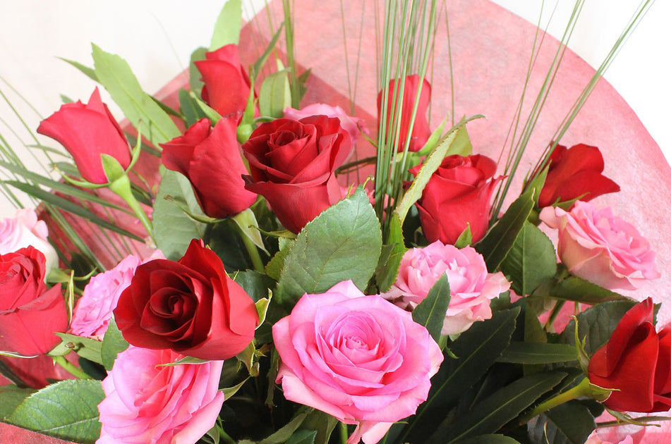 Valentines Day Enchanted Rose Flowers