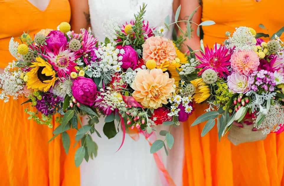 Enchanted Rose Flowers Ponsonby Florist Ponsonby Enchanted Rose