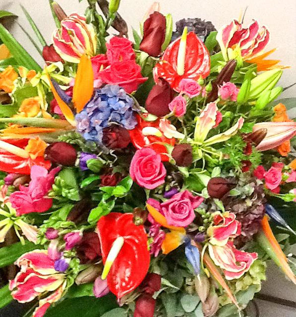 Wild Expressions Enchanted Rose Flowers